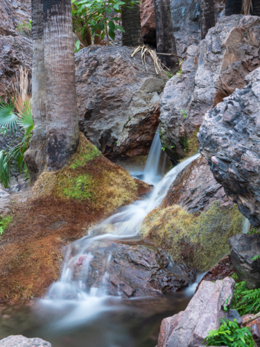 Waterfall at Zebedee Springs, East Kimberley - Australian Stock Image