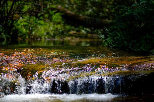 Waterfall - Australian Stock Image