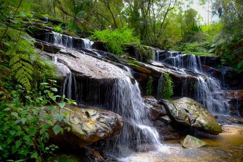 Waterfall in a rainforest - Australian Stock Image