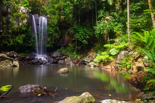 Waterfall in a rainforest - Australian Stock Image