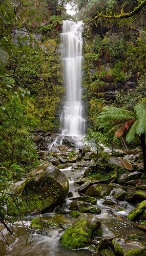 Waterfall in temperate rainforest - Australian Stock Image