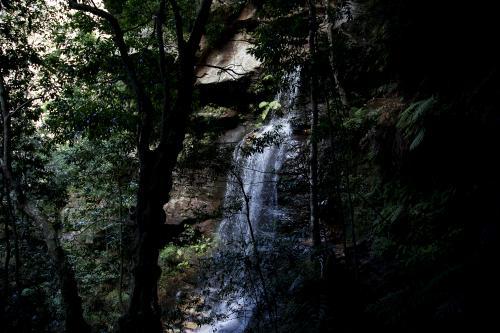 Waterfall through branches - Australian Stock Image