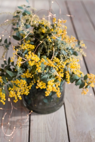 wattle flower in a vase - Australian Stock Image