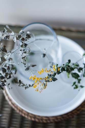 wattle in a vase - Australian Stock Image