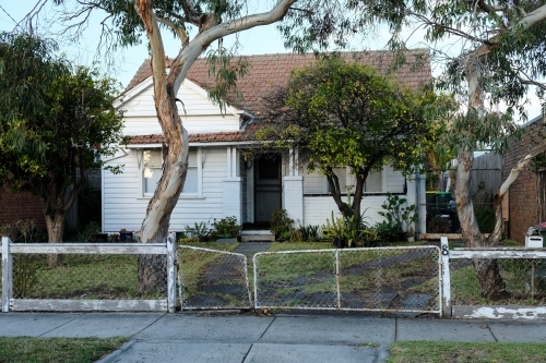 Weatherboard house with gum trees and old fence