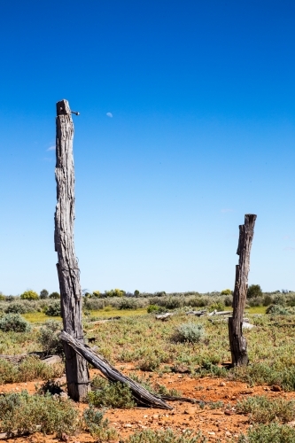 weathered old posts against blue sky - Australian Stock Image