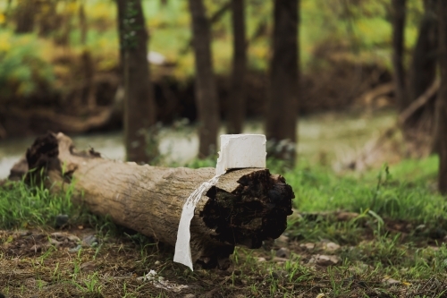 Weathered toilet roll sitting on log at nature camp ground - Australian Stock Image
