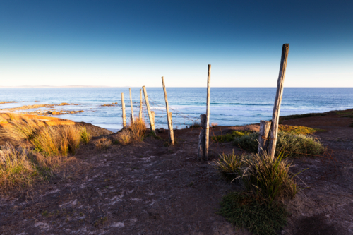 Weathered wooden fence posts on a rugged desert coastline in South Australia - Australian Stock Image
