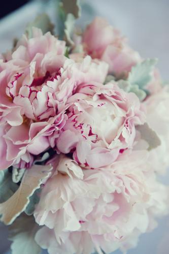 Wedding Bouquet of Peonies - Australian Stock Image
