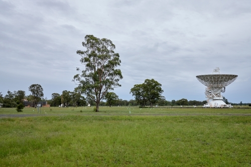 white radio telescope in a field on a cloudy day with trees on the side - Australian Stock Image