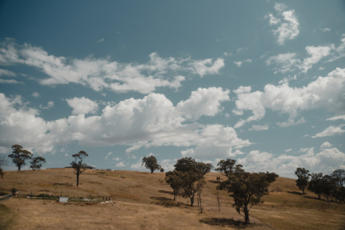 Wide landscape of a dry Australian paddock with scattered eucalypts - Australian Stock Image