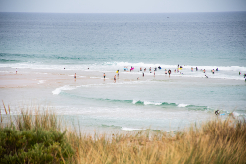Wide shot of swimmers at ocean beach with grass in foreground - Australian Stock Image