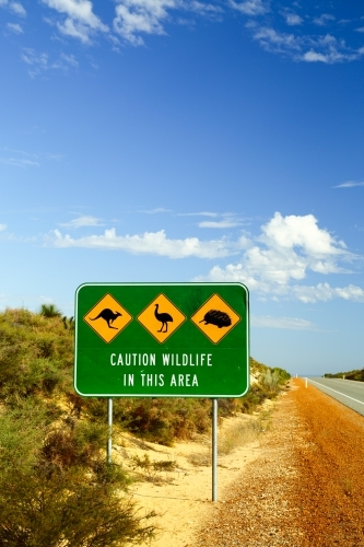 Wildlife warning signs along a highway.
