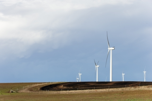 Wind farm in cropped paddock - Australian Stock Image