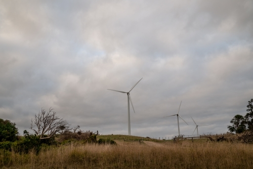 Wind Farm Landscape on a Cloudy Day