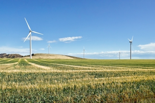 Wind farm with paddock and crops in foreground - Australian Stock Image