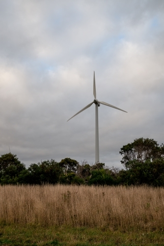 Wind turbine in a paddock with dead tall grass