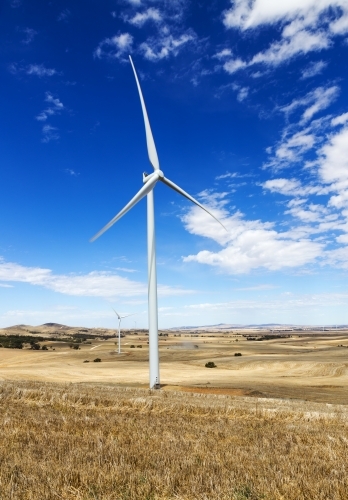 Wind turbine in paddock and turbines in background - Australian Stock Image