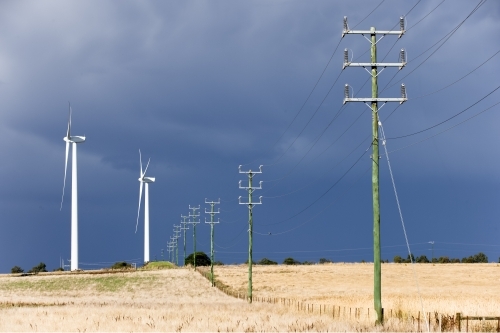 Wind turbines and power lines in a paddock