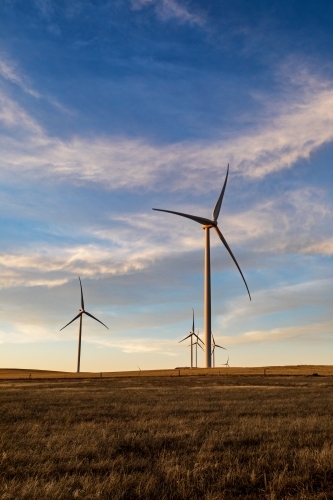 wind turbines in late afternoon light, vertical - Australian Stock Image