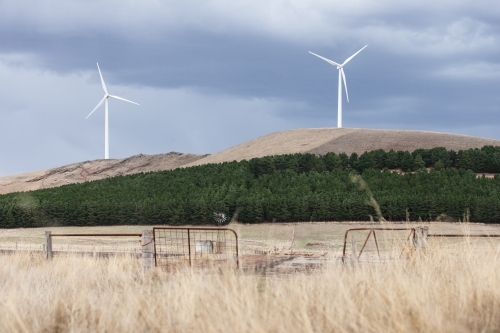 Wind turbines with paddocks and gate in foreground - Australian Stock Image