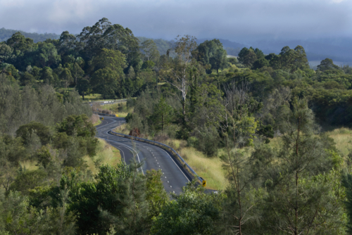 Winding country road among trees - Australian Stock Image