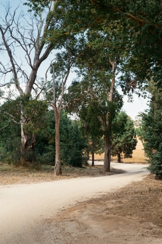 Winding dirt road in rural area - Australian Stock Image