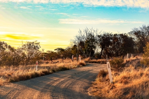 Winding dirt road in rural countryside - Australian Stock Image