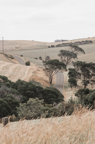 winding road over hills with trees and shrubs in summer - Australian Stock Image