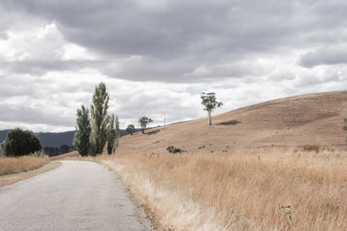 Winding road with rolling dry, grassy hills and cloudy sky - Australian Stock Image