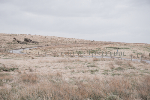 Winding track and posts through dry, grassy, rolling hills - Australian Stock Image
