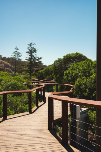 Winding Wooden Boardwalk Through Coastal Bushland on a Sunny Day - Australian Stock Image