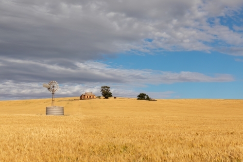 windmill and tank near old ruin in farm land - Australian Stock Image
