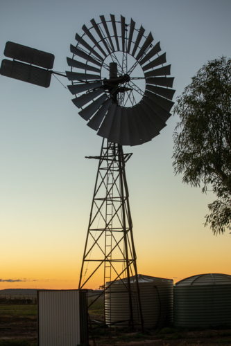 Windmill at dawn with poly tanks and small shed - Australian Stock Image