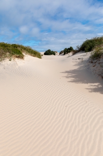windswept sand between tufts of plants on dunes - Australian Stock Image
