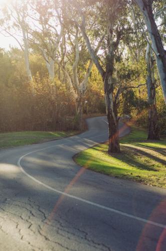 Windy road - Australian Stock Image