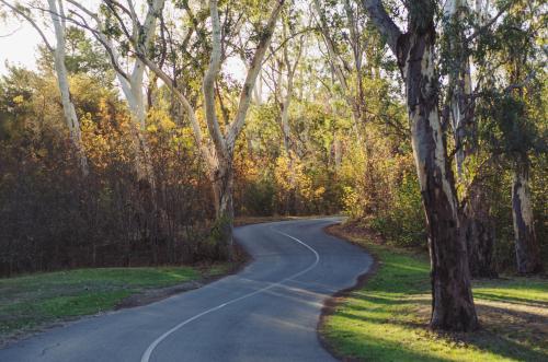 Windy road - Australian Stock Image