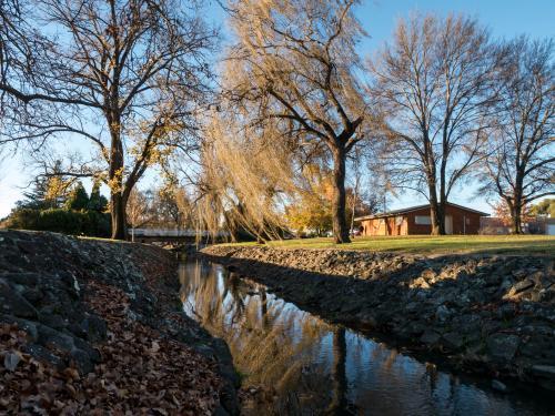 Winter wind blowing willows on Rocky Ponds Creek - Australian Stock Image