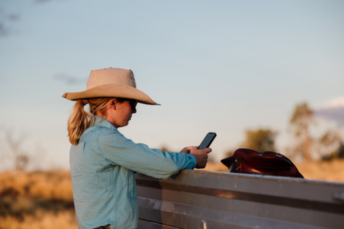 Woman checking her phone while standing at the back of a ute on farm - Australian Stock Image