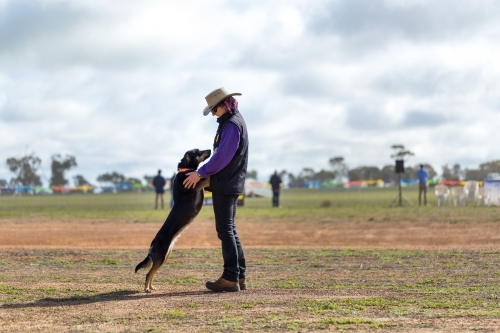 Woman dog trainer and kelpie dog