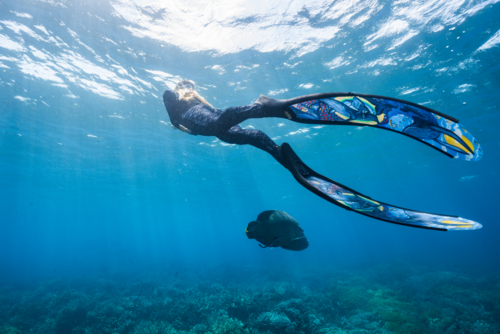 Woman freediving in the ocean on the Great Barrier Reef - Australian Stock Image