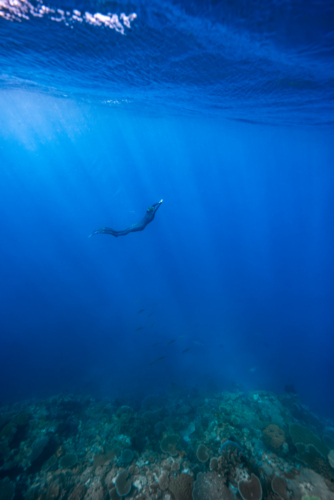 Woman freediving in the ocean on the Great Barrier Reef - Australian Stock Image