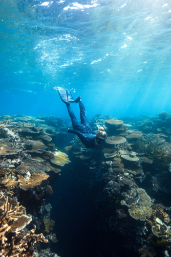 Woman freediving over a coral reef on the Great Barrier Reef - Australian Stock Image