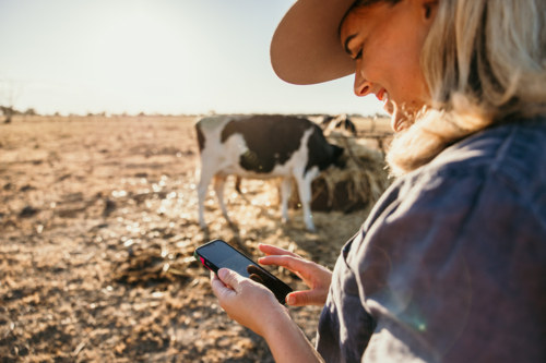 Woman holding and looking through her phone smiling on farm - Australian Stock Image