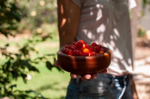 Woman holding wooden bowl full of home-grown tomatoes towards camera
