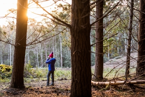 Woman in pine forest - Australian Stock Image