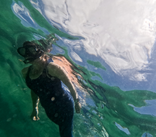 Woman in wetsuit snorkelling in ocean with cloudy sky visible - Australian Stock Image