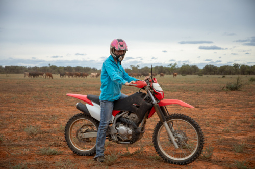 woman on a red motorbike with cattle in the distance - Australian Stock Image