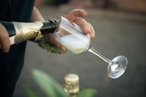 Woman pouring a glass of sparkling wine - Australian Stock Image