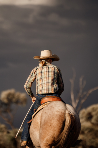 Woman riding a horse under an overcast sky. - Australian Stock Image